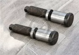 Carbon Steel Flat Head Non-Standard Bolts