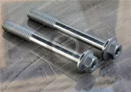 Non-standard Carbon Steel Inner Torx Head Hexagonal Flange Bolts M6X150