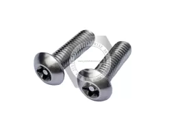 Stainless steel Tamper-Resistant Five Torx Pan Head Screws with pin Security Fasteners