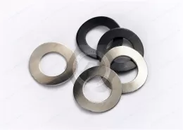 Stainless steel Curved Spring Washers