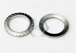 Lock washer Shape Z (for socket head screws / premounted) SKZ