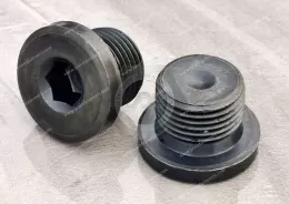 Alloy Steel Hexagon socket head plug