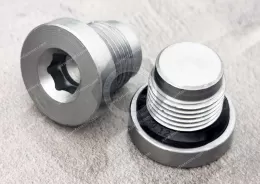 Carbon steel Surface treatment zinc-nickel alloy Hollow Hex Plug - ED