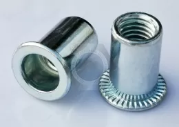 Steel Flat Head Open end Round Body Plain Blind Rivet Nuts