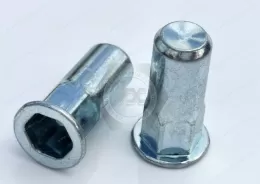 Flat Head Closed end Part Hexagonal body  blind rivet nuts --Closed end