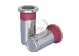 Flat Head Closed end Round Body Plain Blind Rivet Nuts—Closed End